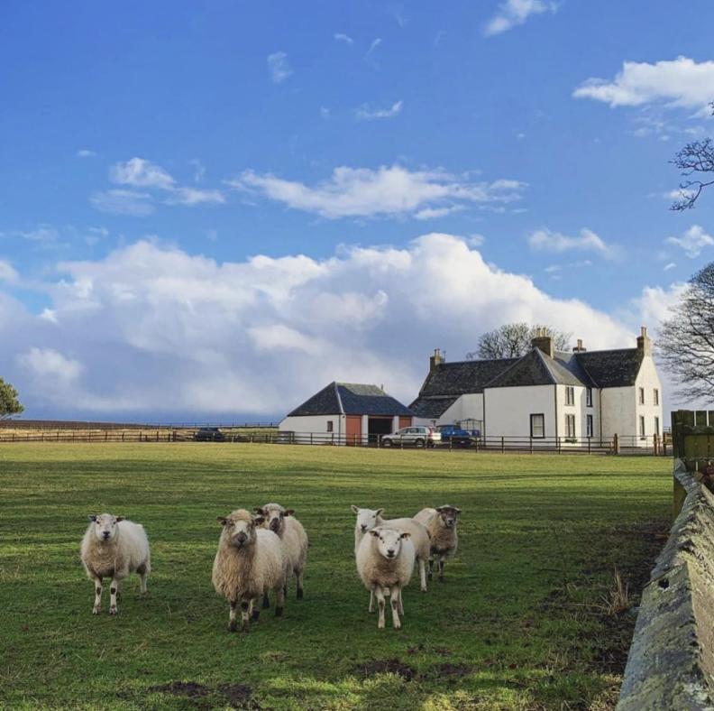 Tarrel Farmhouse Portmahomack Exterior photo